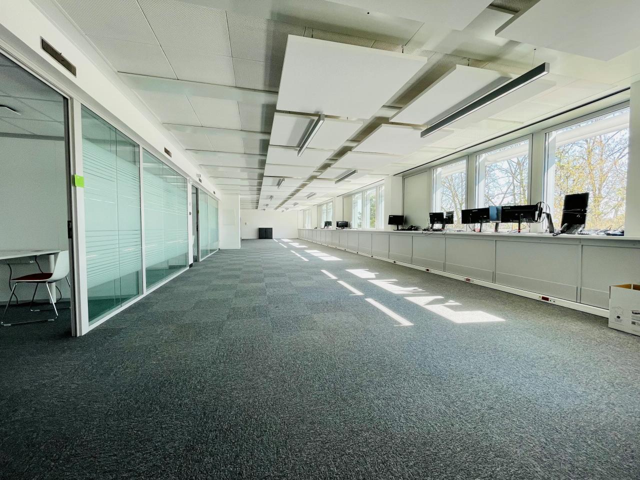 Bureau Strasbourg 2442m² Location bureau Strasbourg Bas-Rhin OLBUR2310518 31